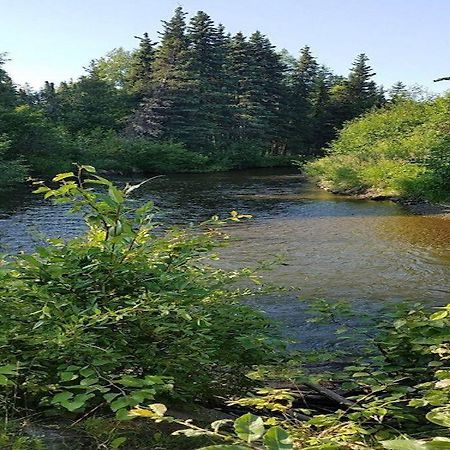 Moose Meadows- Near The Airport, Centrally Located Anchorage Dış mekan fotoğraf