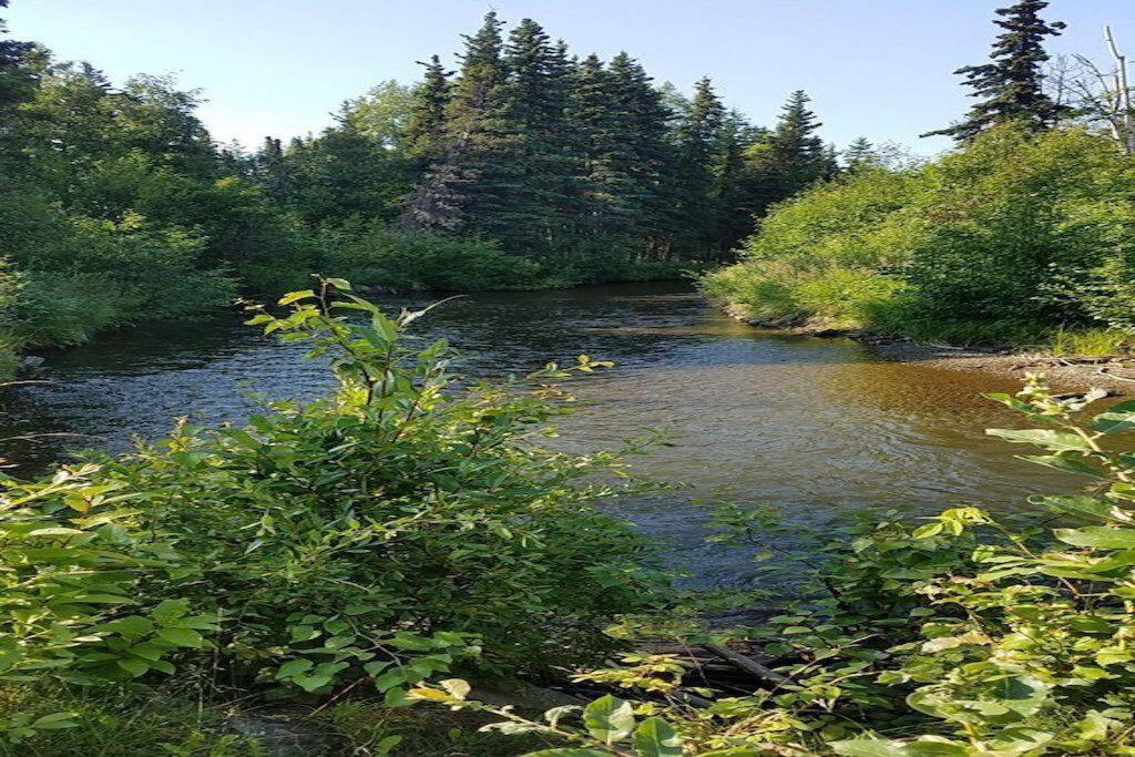 Moose Meadows- Near The Airport, Centrally Located Anchorage Dış mekan fotoğraf